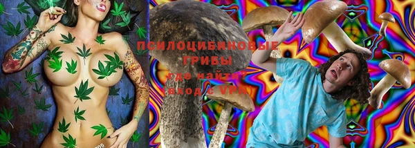 СК Богородицк
