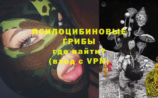 первитин Богданович