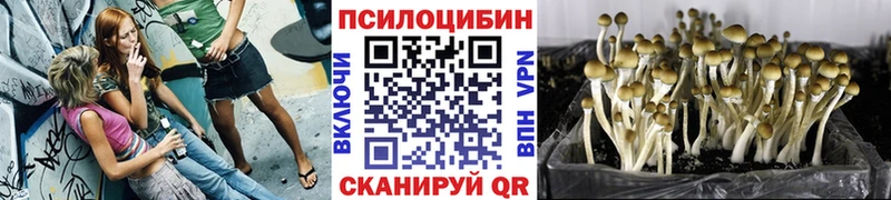 Галлюциногенные грибы ЛСД  OMG рабочий сайт  Купино  наркошоп 